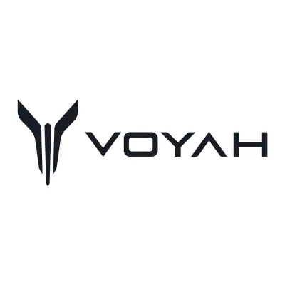 Voyah Artfex hundbur